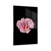 70x100 cm | Függőleges