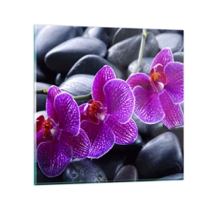 Üveg kép - A kövek kivilágosodtak az örömtől - 50x50 cm