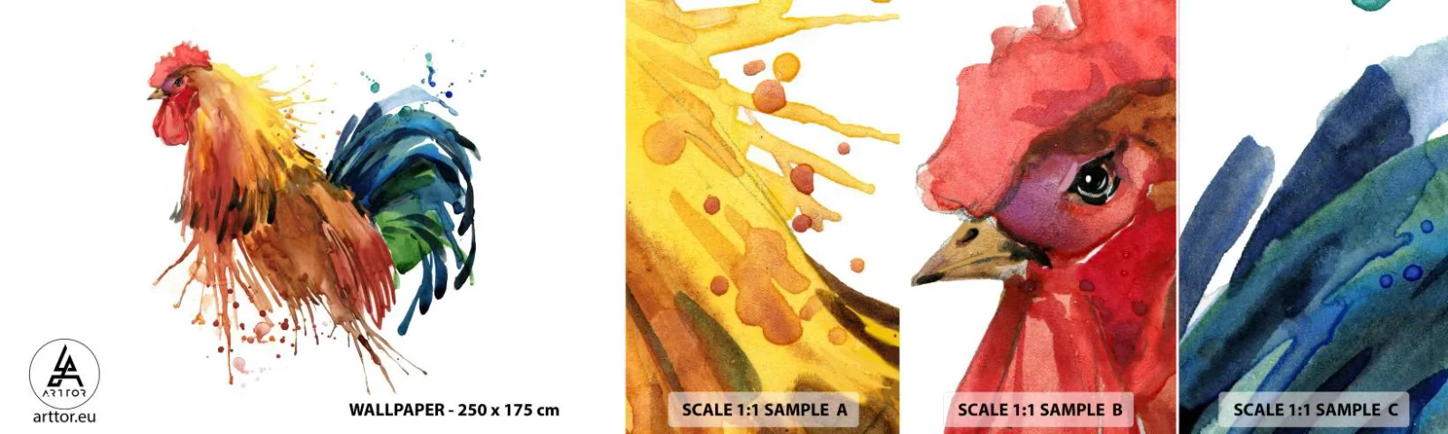 Fotótapéta Minta Standard Eco - Királyi ruha, királyi büszkeség - Kakas, Grafika, Tenyésztés - 100x30 cm