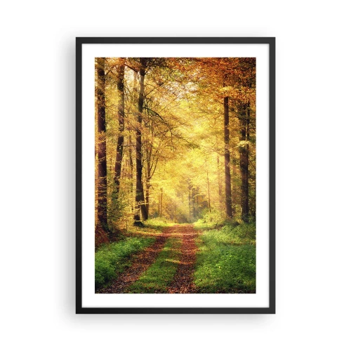 Poszter fehér keretben - Erdei ösvény az őszi aranyló nap fényében - 50x70cm - Erdei, arany csend - Modern fali dekoráció nappalihoz és hálószobához ARTTOR