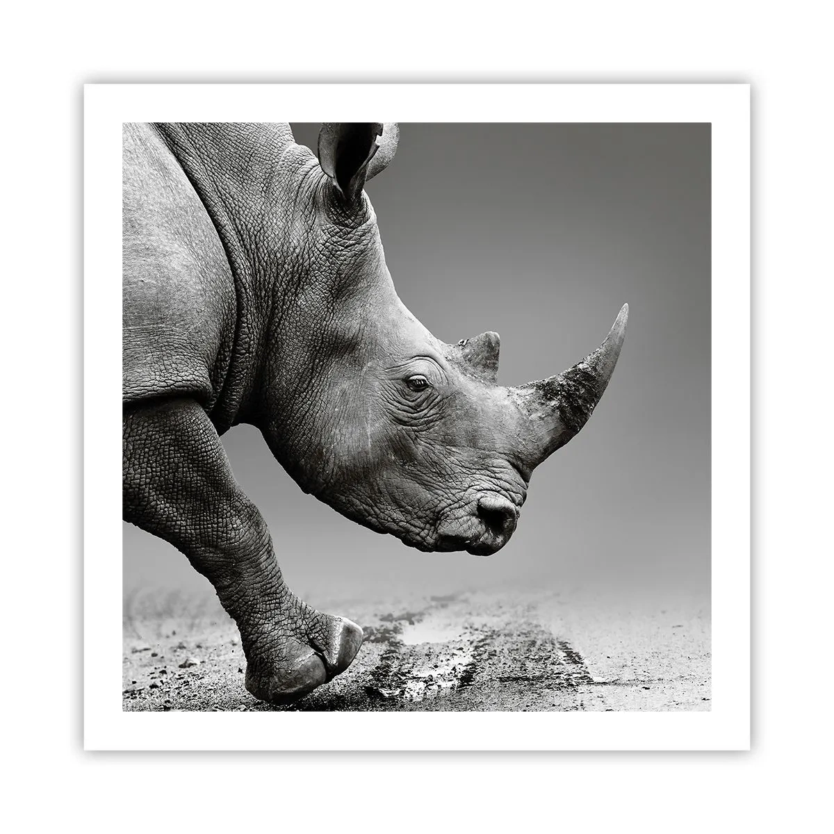 Poszter - Megállíthatatlan erő - 60x60 cm