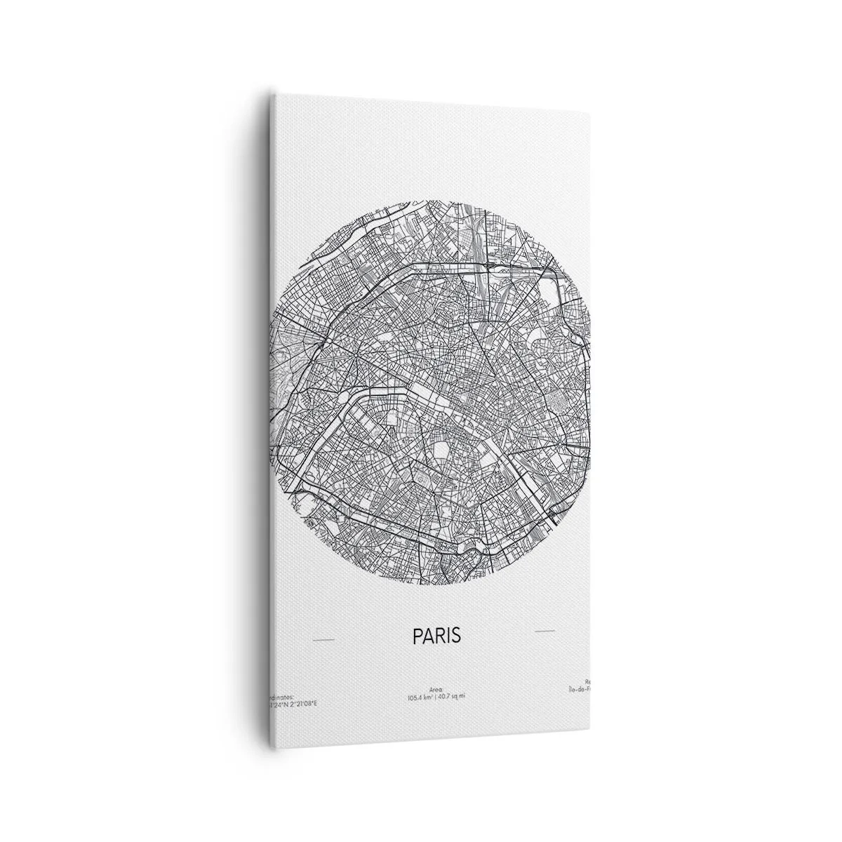 Vászonkép - Párizs anatómiája - 55x100 cm