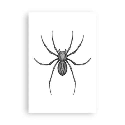 Poszter - Zavaró precizitás - 61x91 cm