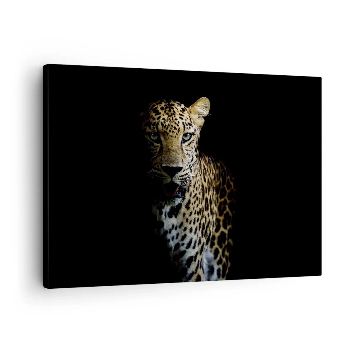 Vászonkép - Egy leopárd sötét háttér előtt, intenzív tekintettel - 70x50cm - Sötét szépség - Modern fali dekoráció nappalihoz és hálószobához ARTTOR