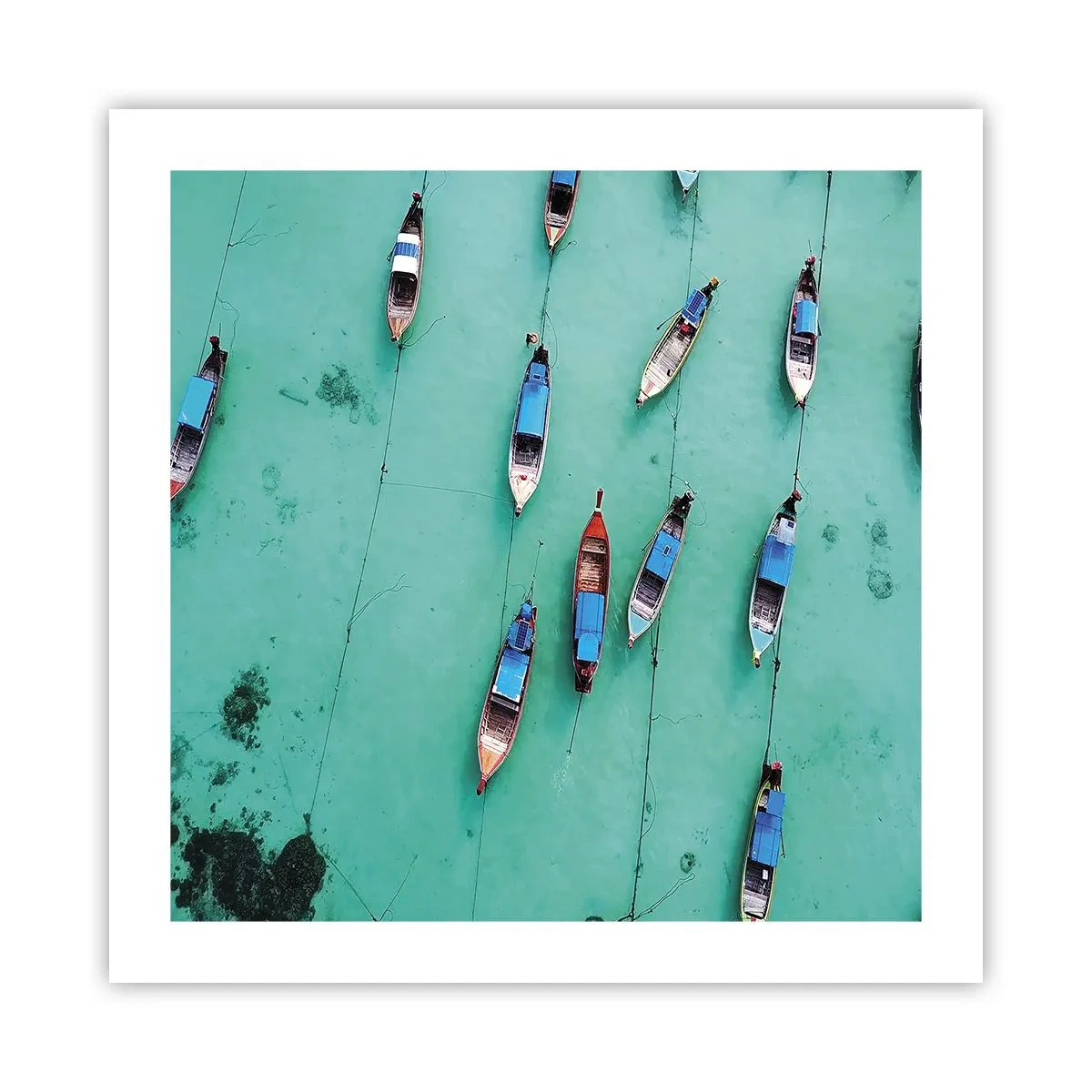 Poszter - Örömteli várakozásban - 50x50 cm