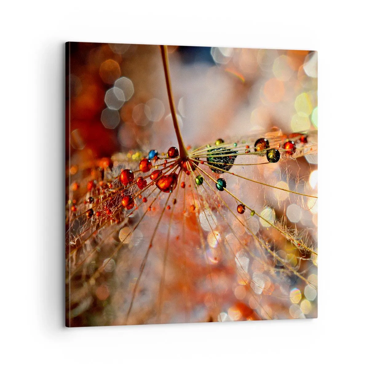 Vászonkép - Pókszálra fűzve - 60x60 cm