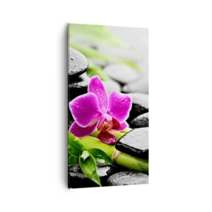 Vászonkép - Nyugodt egyensúlyban - 55x100 cm