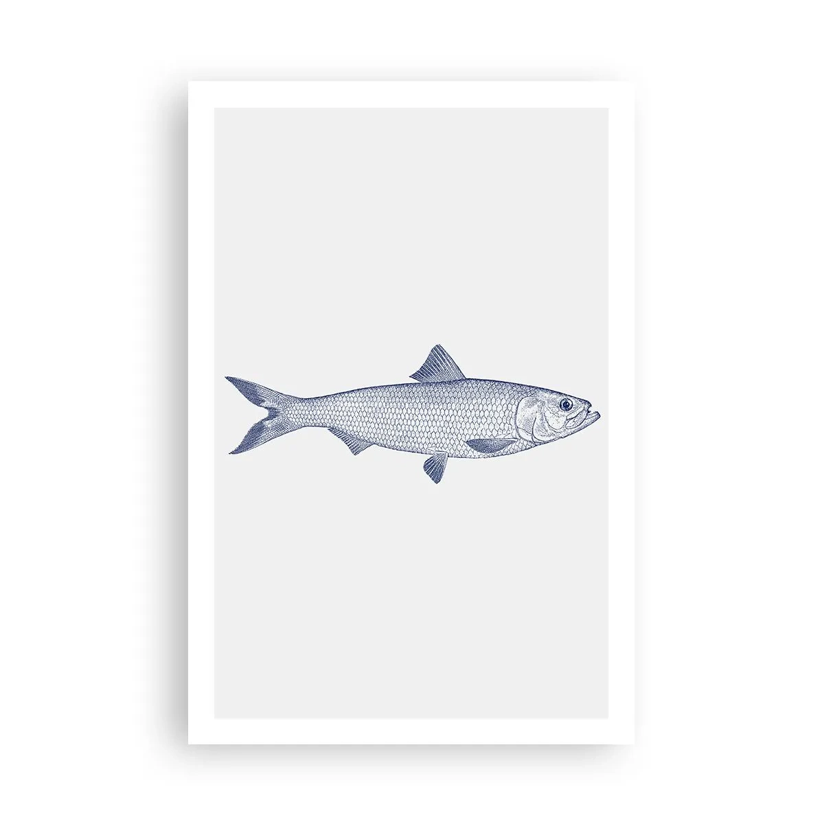 Poszter - Üdvözlet az északi tengerektől - 61x91 cm