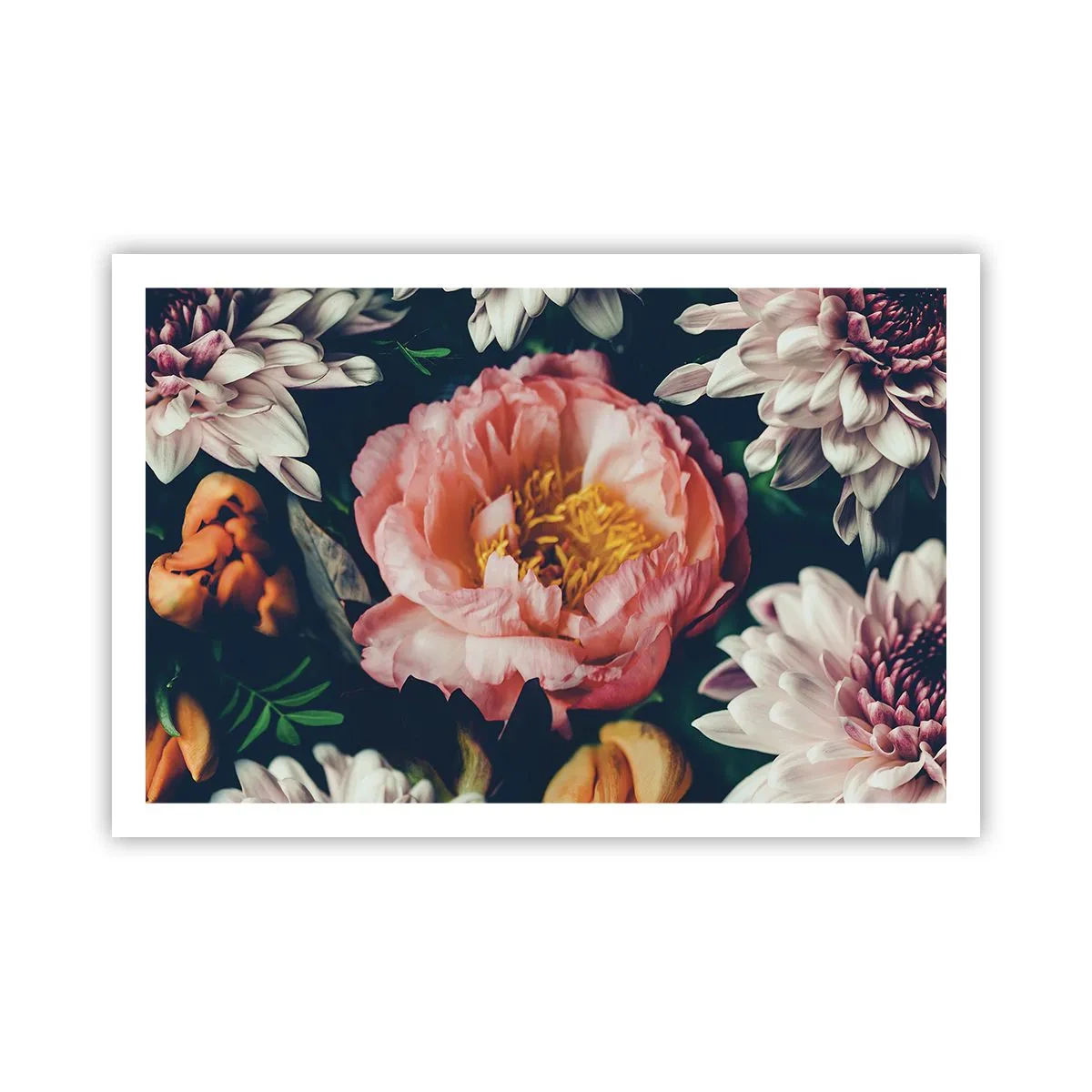 Poszter - Barokk pompával - 91x61 cm