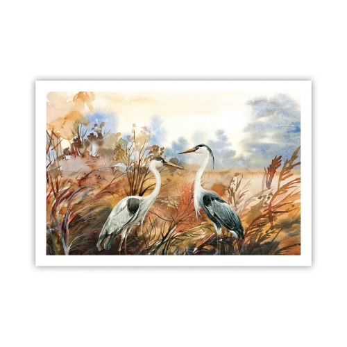 Poszter - Hová ősszel? - 91x61 cm