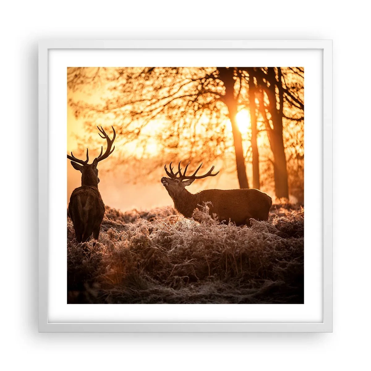 Poszter fekete keretben - Vadász álma - 50x50 cm