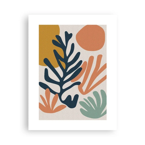Poszter - Koralltengerek - 30x40 cm