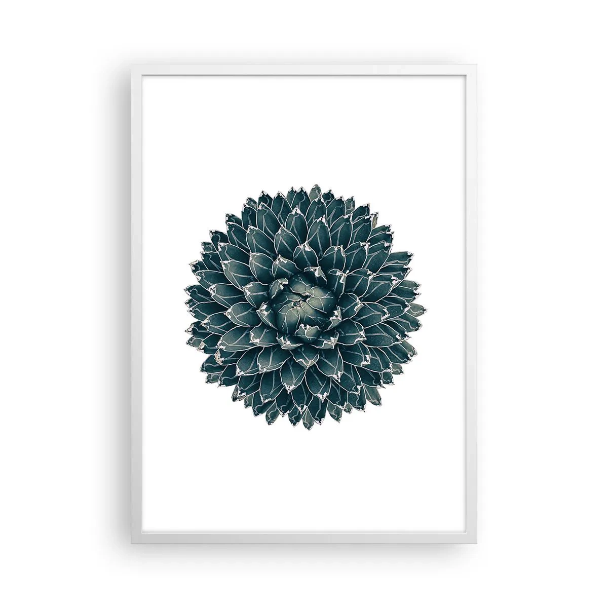 Poszter fekete keretben - A sivatag csillaga - 50x70 cm