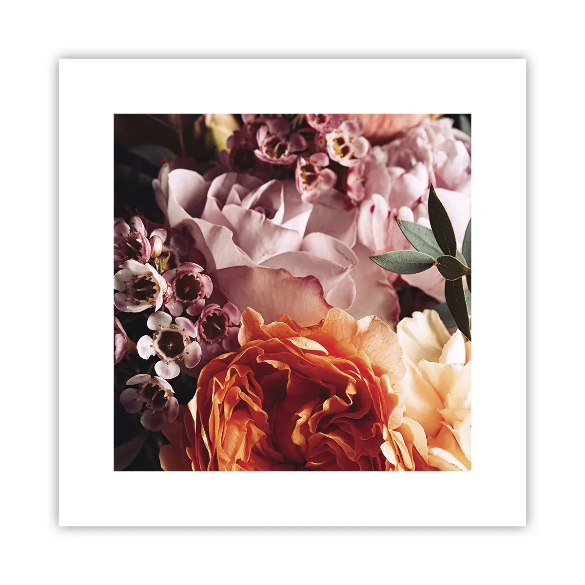 Poszter - Szépségbe burkolózva - 30x30 cm