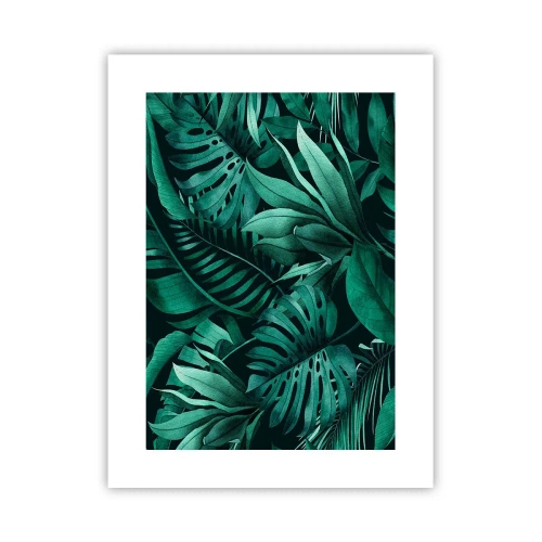 Poszter - A trópusi zöld mélysége - 30x40 cm