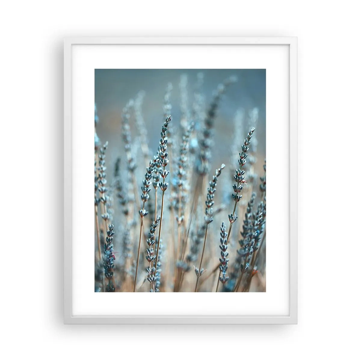 Poszter fekete keretben - Illatos szálak - 40x50 cm