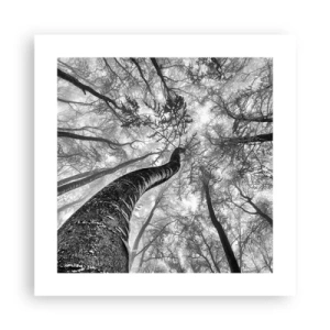 Poszter - Verseny a fény felé - 40x40 cm