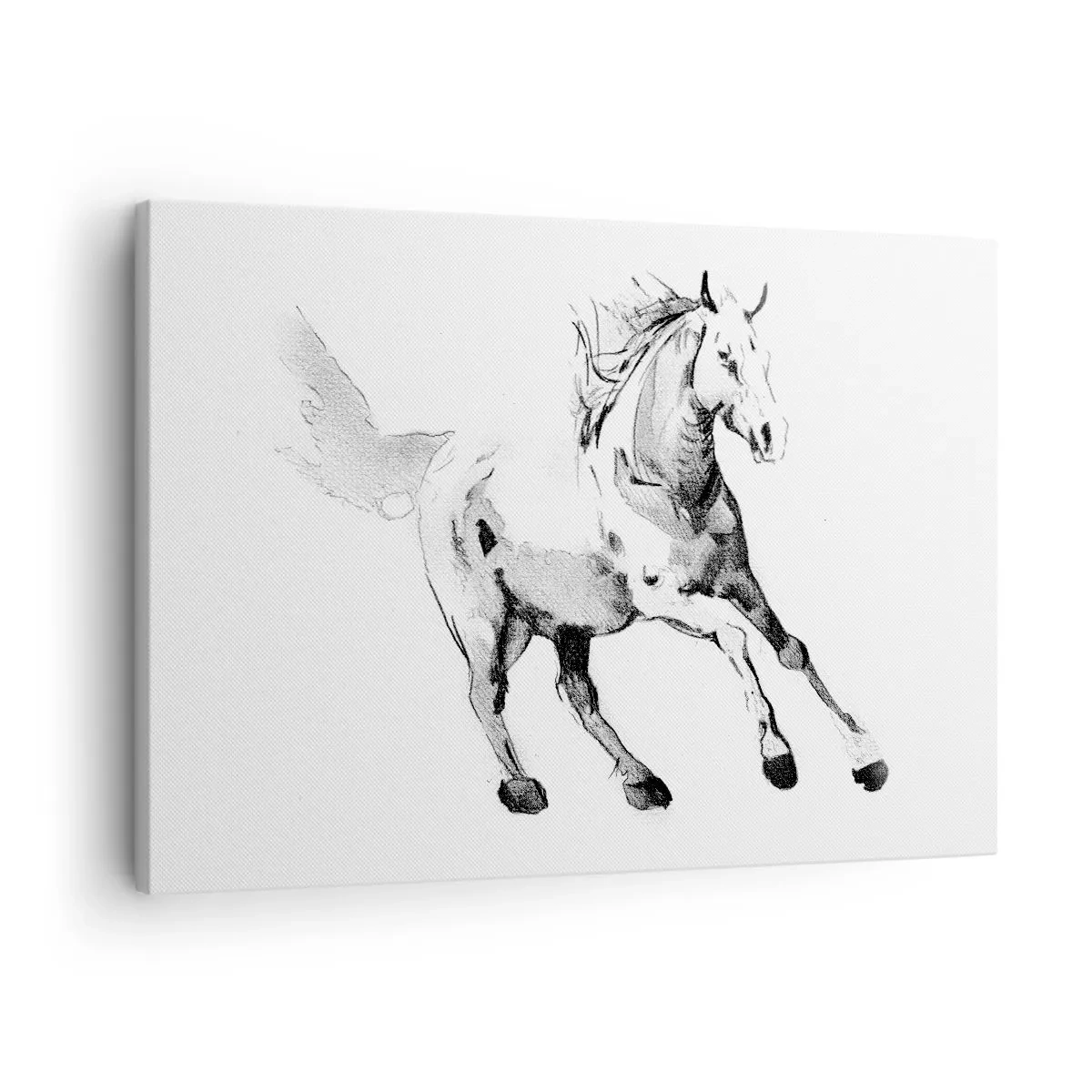 Vászonkép - Vázlat egy vágtató lóról fekete-fehér árnyalatokban - 70x50cm - Megszelídíthetetlen lélek - Modern fali dekoráció nappalihoz és hálószobához ARTTOR