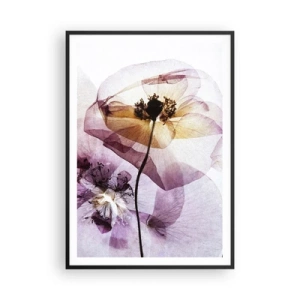 Poszter fehér keretben - Átlátszó virág test - 70x100 cm