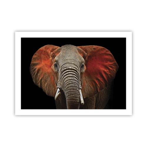 Poszter - Én vad vagyok, és te? - 70x50 cm