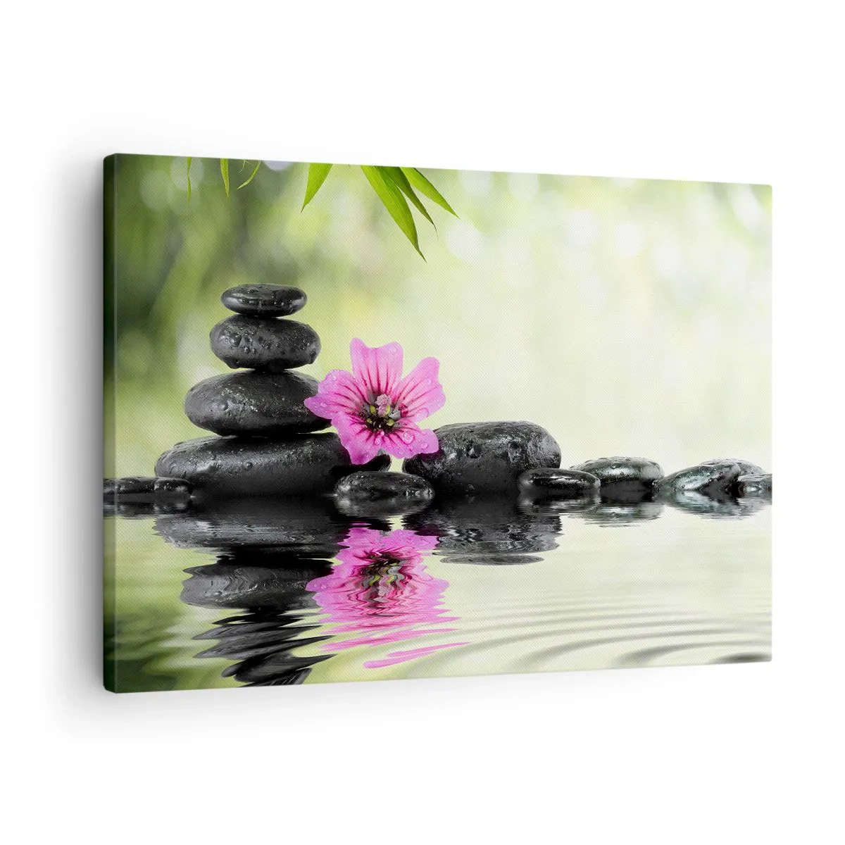 Vászonkép - Zen kövek és egy rózsaszín virág tükröződik a vízben - 70x50cm - Idő a léleknek - Modern fali dekoráció nappalihoz és hálószobához ARTTOR