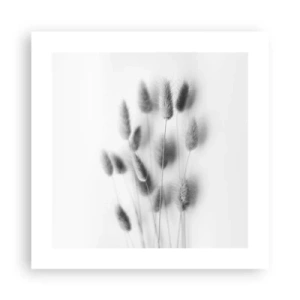 Poszter - A bolyhos fű - 40x40 cm