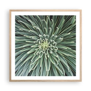 Poszter világos tölgy keretben - Csillag születik - 60x60 cm