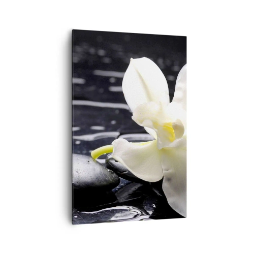 Vászonkép - Egy tanulmány fekete-fehérben - 80x120 cm