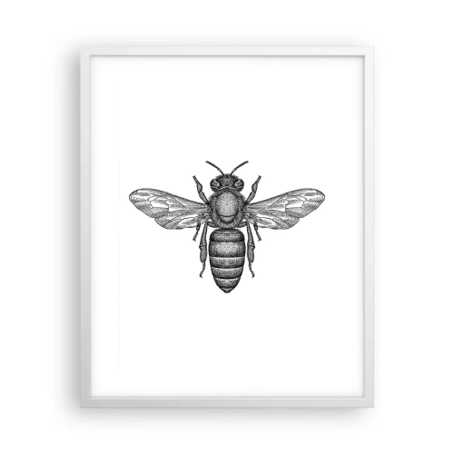 Poszter fekete keretben - Rovar portré - 40x50 cm