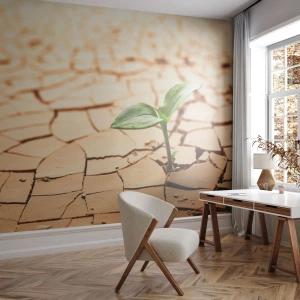 Fotótapéta Premium Sand - Az élet fékezhetetlen ereje - Természet, Növény, Aszály - 200x140 cm