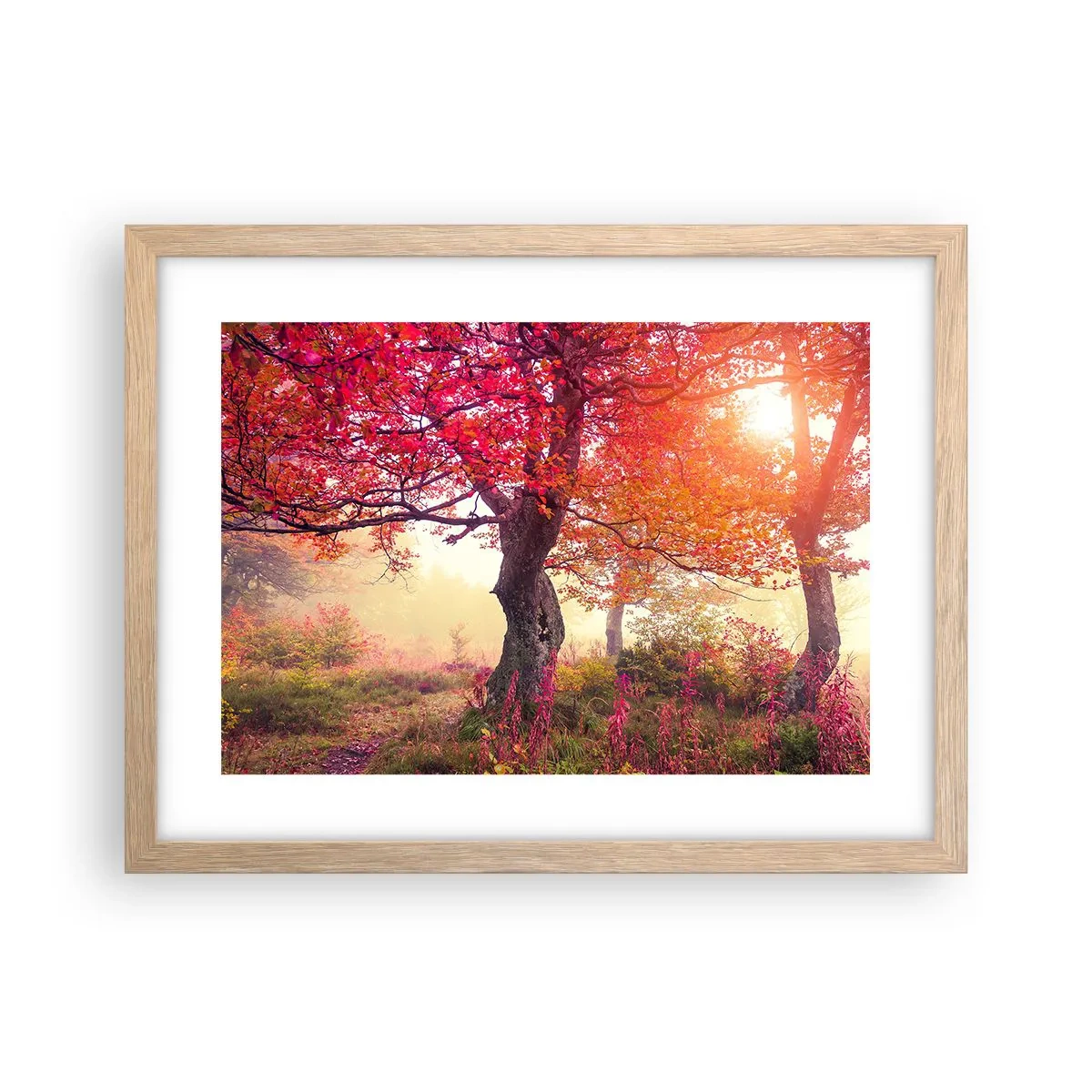 Poszter világos tölgy keretben - Virágzás őrülete - 40x30 cm