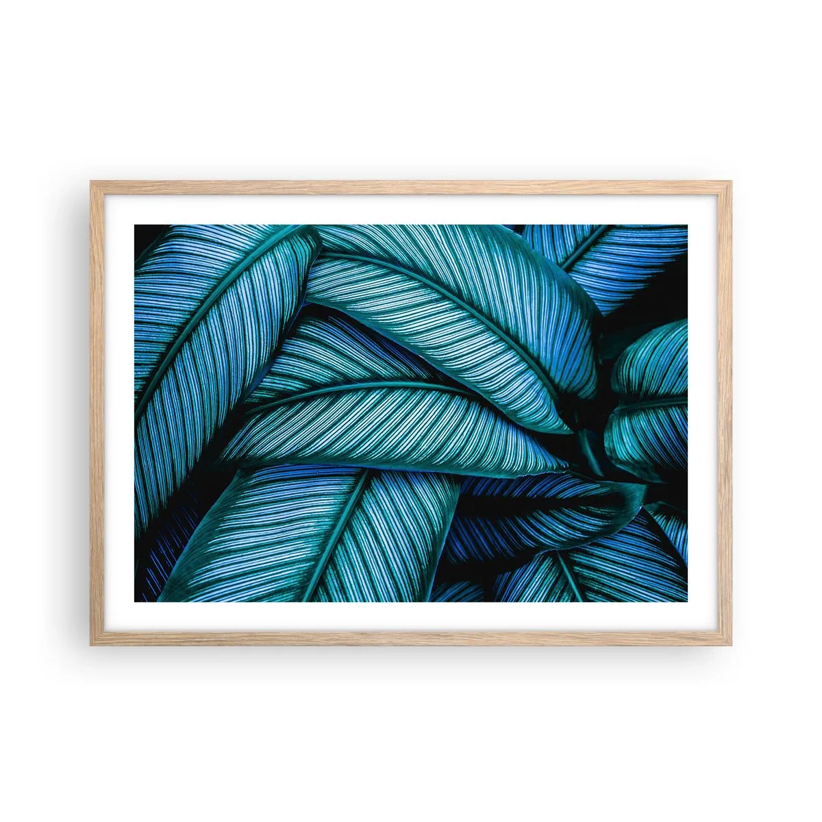 Poszter világos tölgy keretben - Életvonalak - 70x50 cm