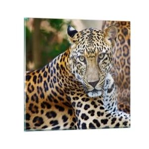 Üveg kép - Vad és nyugott - 60x60 cm
