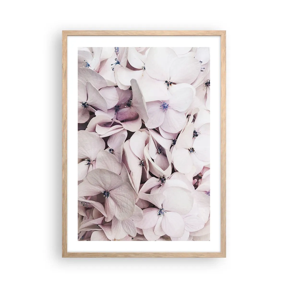 Poszter világos tölgy keretben - A virágok áradatában - 50x70 cm