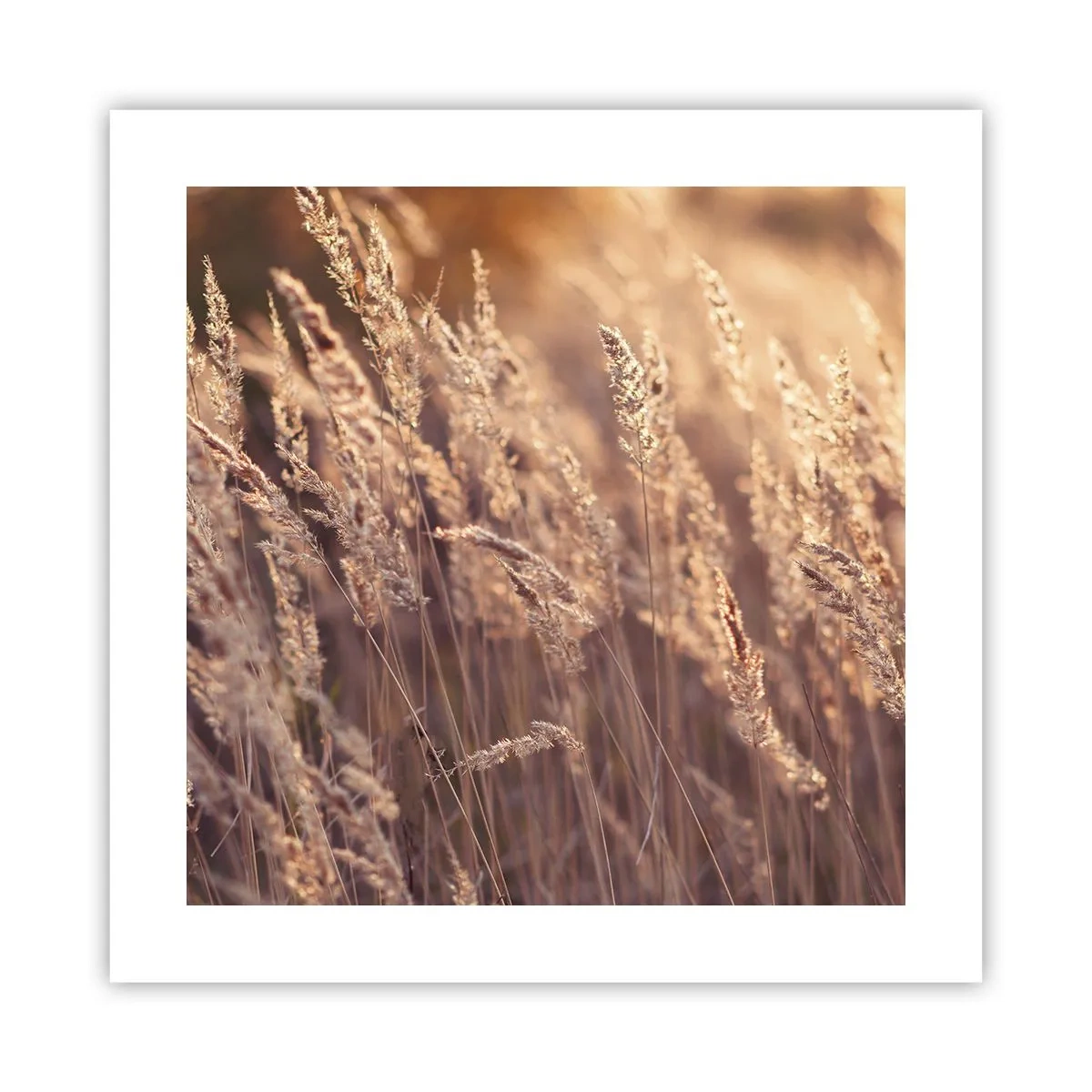 Poszter - Készen az ősz fogadására - 40x40 cm