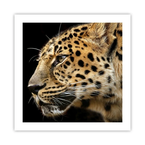 Poszter - Nyugodt, koncentrált, kész - 50x50 cm