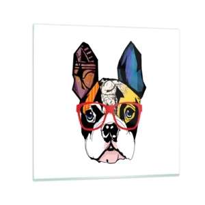 Üveg kép - Értelmiségi - 70x70 cm