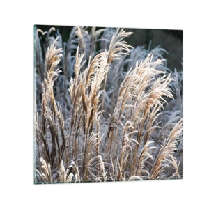 Üveg kép - Zúzmarába öltözött - 70x70 cm