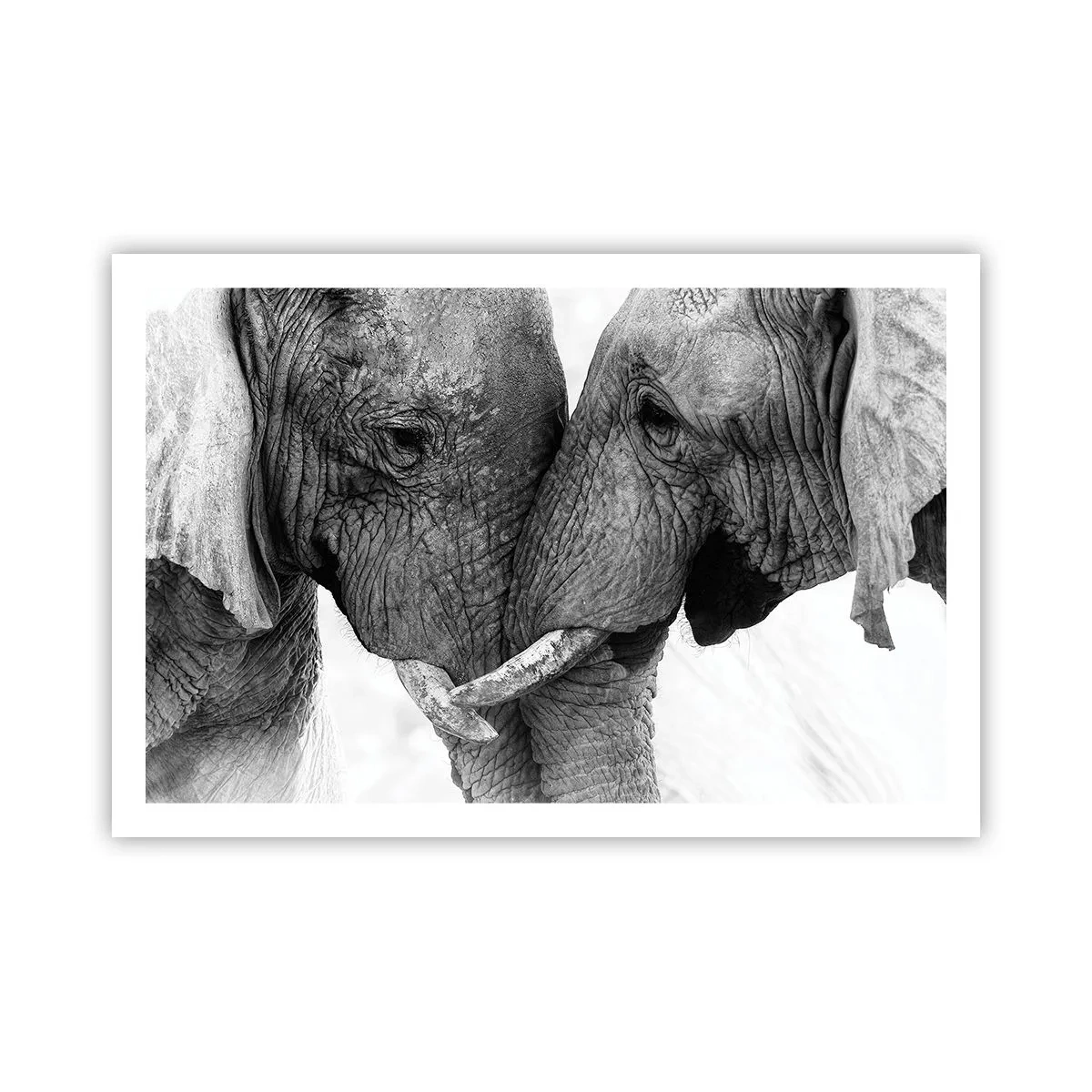 Poszter - Szívélyes vallomás - 91x61 cm