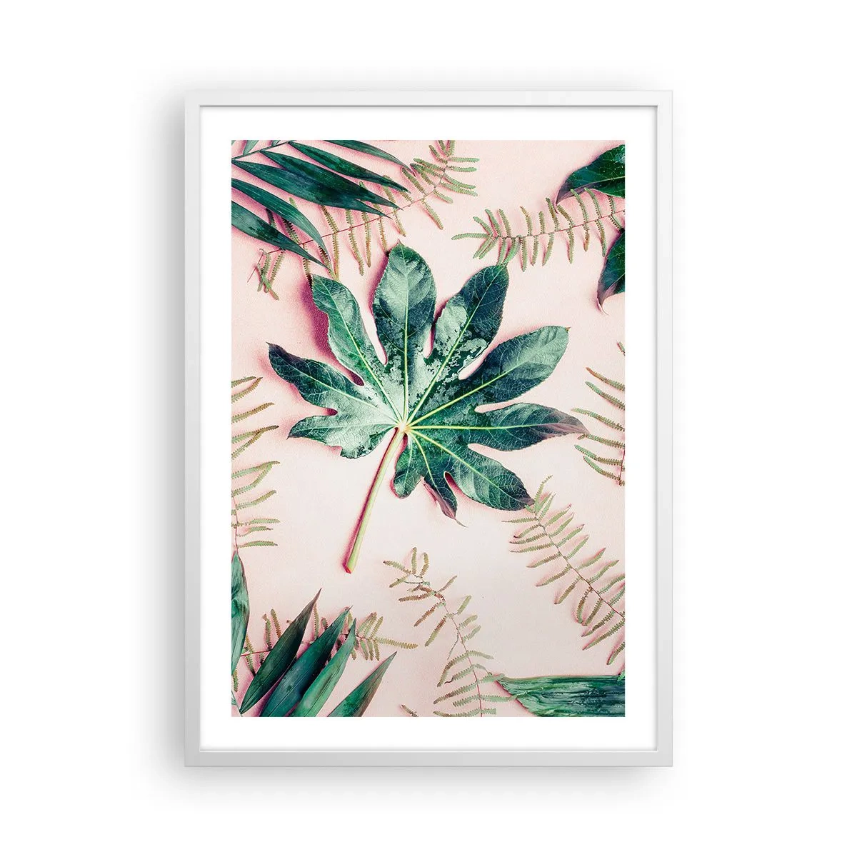 Poszter fekete keretben - A zöld tanulmánya a rózsaszín háttérben - 50x70 cm