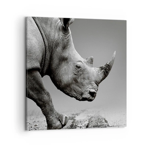 Vászonkép - Megállíthatatlan erő - 50x50 cm