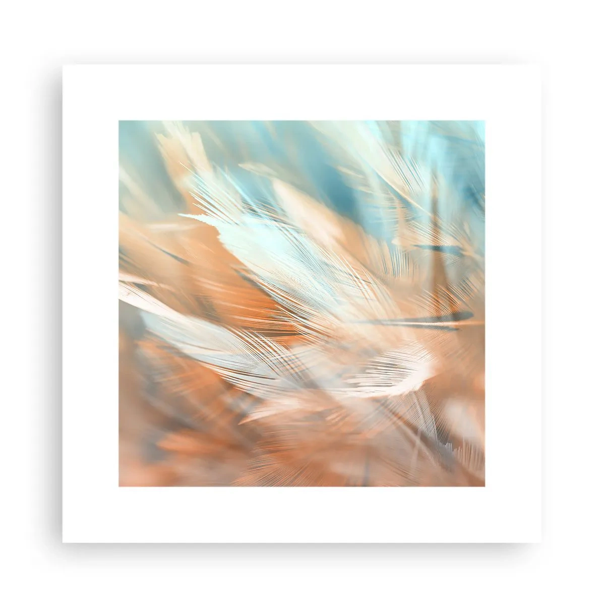 Poszter - A szelídség földjén - 30x30 cm