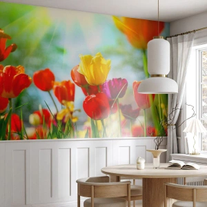 Fotótapéta Premium Sand - A nap minden színe - Tulipánok, Virágok, Rét - 200x140 cm