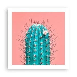 Poszter - Csak nézz - 50x50 cm