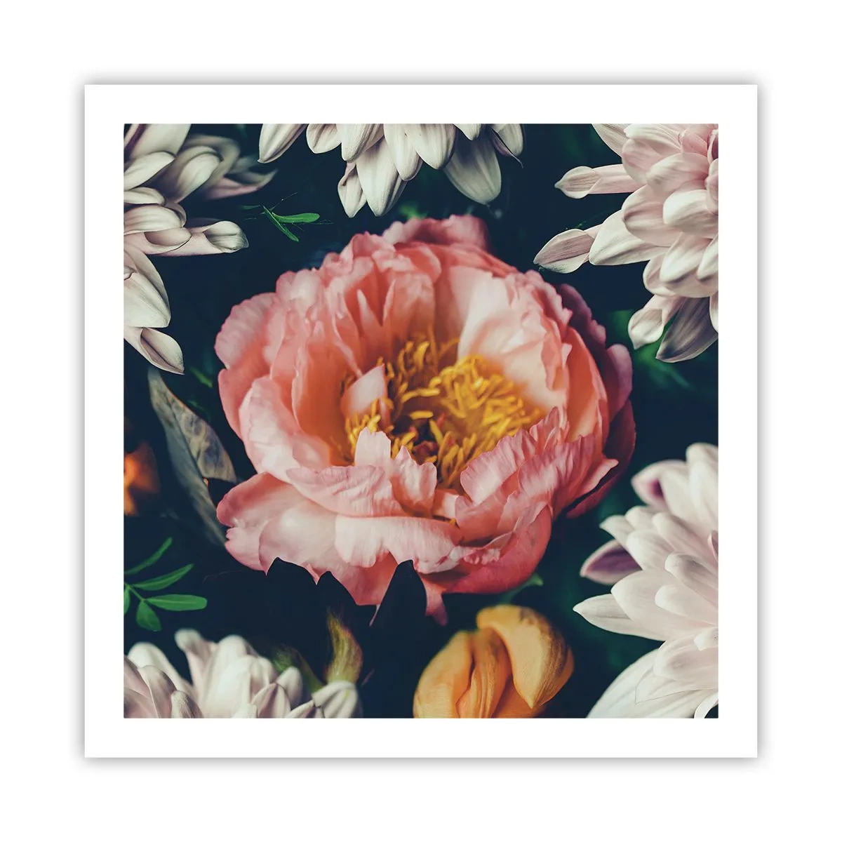 Poszter - Barokk pompával - 60x60 cm