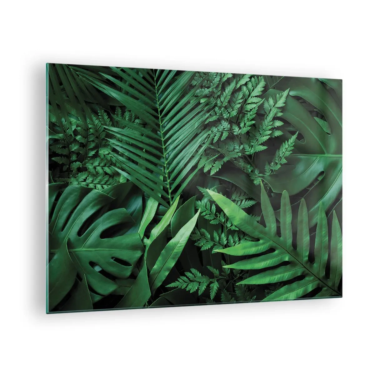 Üveg kép - Trópusi növények sűrű zöld levelei a kompozícióban - 70x50cm - Összebújva a zöldben - Modern fali dekoráció nappalihoz és hálószobához ARTTOR