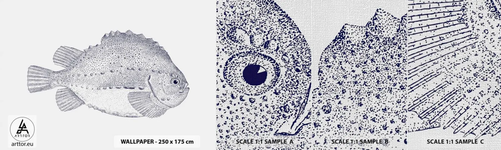 Fotótapéta Minta Premium Canvas - A természettudós albumába - Hal, Tengeri, óceán - 100x30 cm