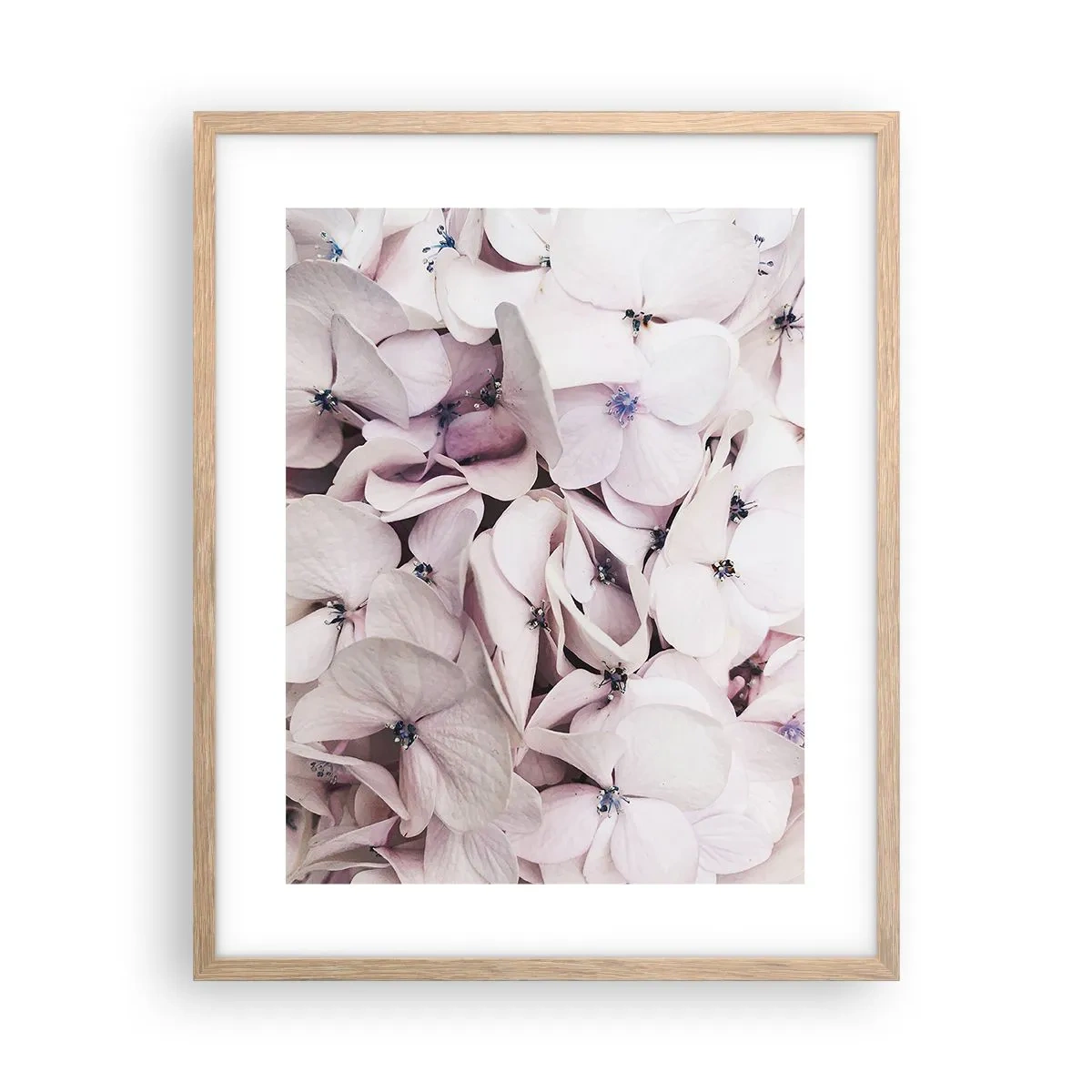 Poszter világos tölgy keretben - A virágok áradatában - 40x50 cm