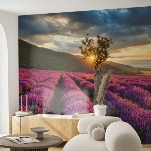 Öntapadós Fotótapéta Deluxe Sticker - Lila színű illat - Tájkép, Levendula, Provence - 400x280 cm
