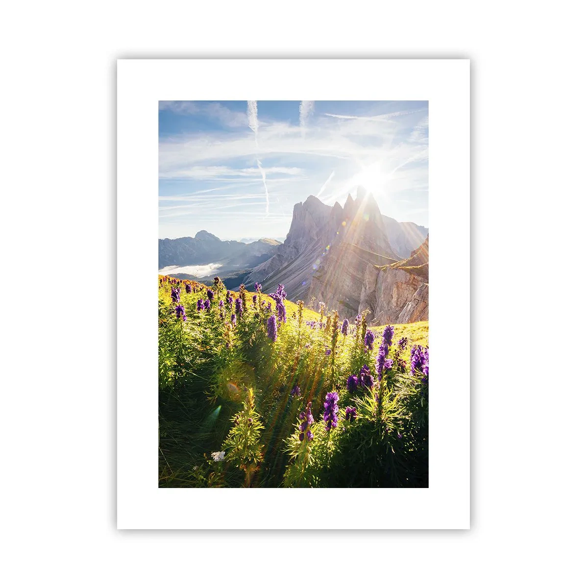 Poszter - A gyógynövények titkos élete - 30x40 cm